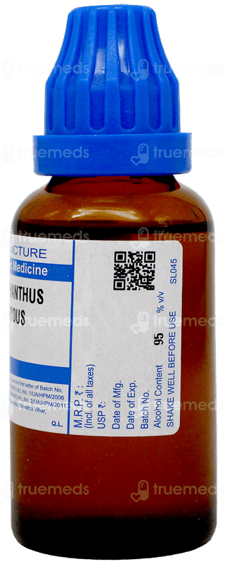 Sbl Strophanthus Hispidus Q Mother Tincture 30Ml